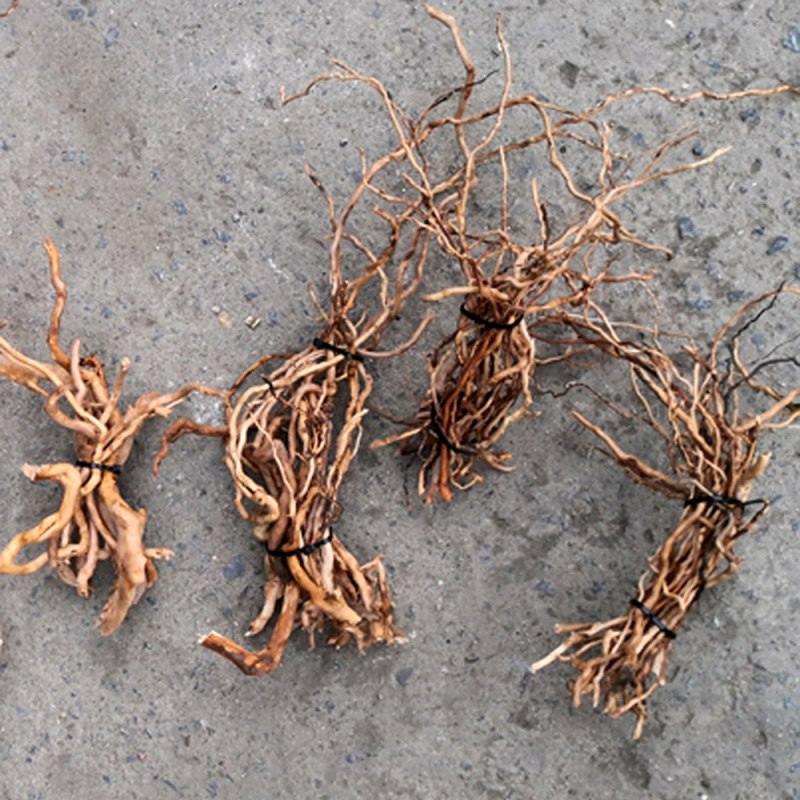 Aquarium Planted Soil - Akwarium Micro Landscape Natural Driftwood Root