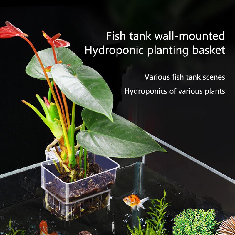 Aquarium Planted Tank Setup - Kubek do hydroponicznego uprawy roślin akwariowych