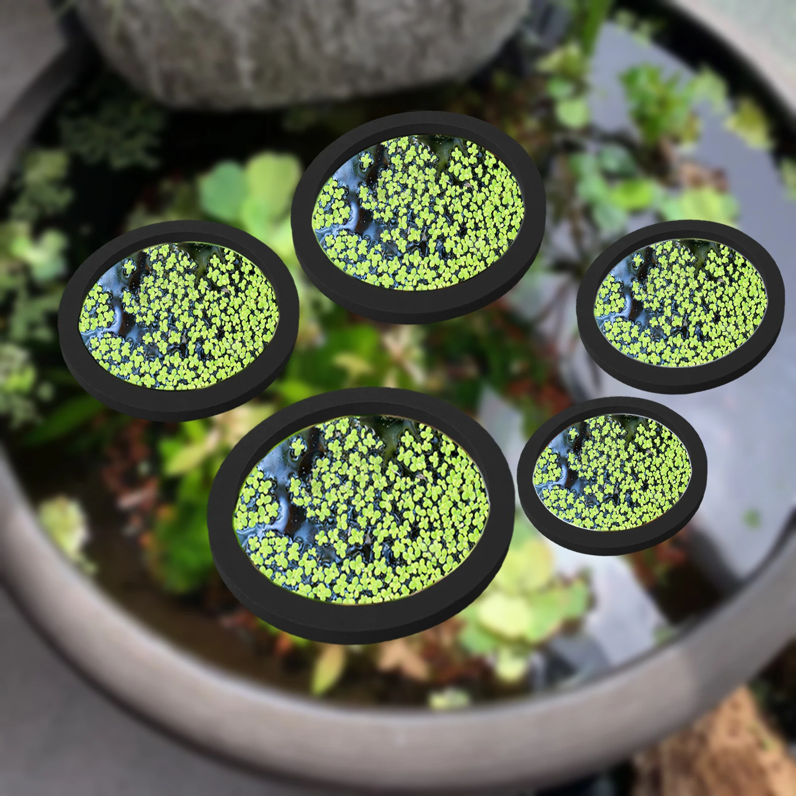 Planted Aquarium Supplies - 5Pcs EVA Pierścień do karmienia ryb
