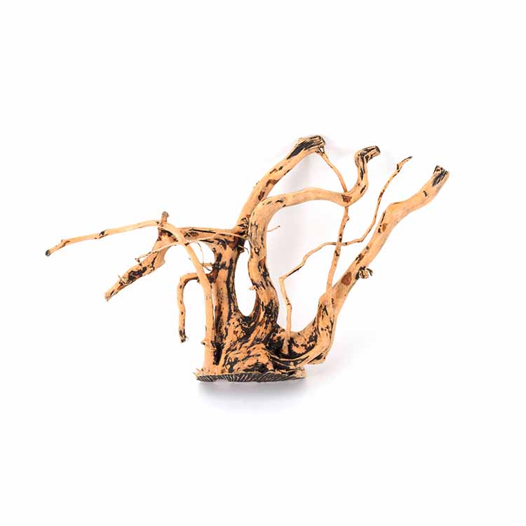 Planted Aquarium For Sale - Hurtowa Sprzedaż Naturalnych Dekoracji do Akwarium,