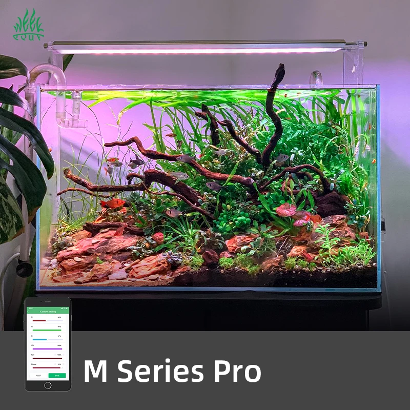 Planted Aquarium For Sale - ZXY Gorąca Sprzedaż TYDNIOWA OFERTA AQUA