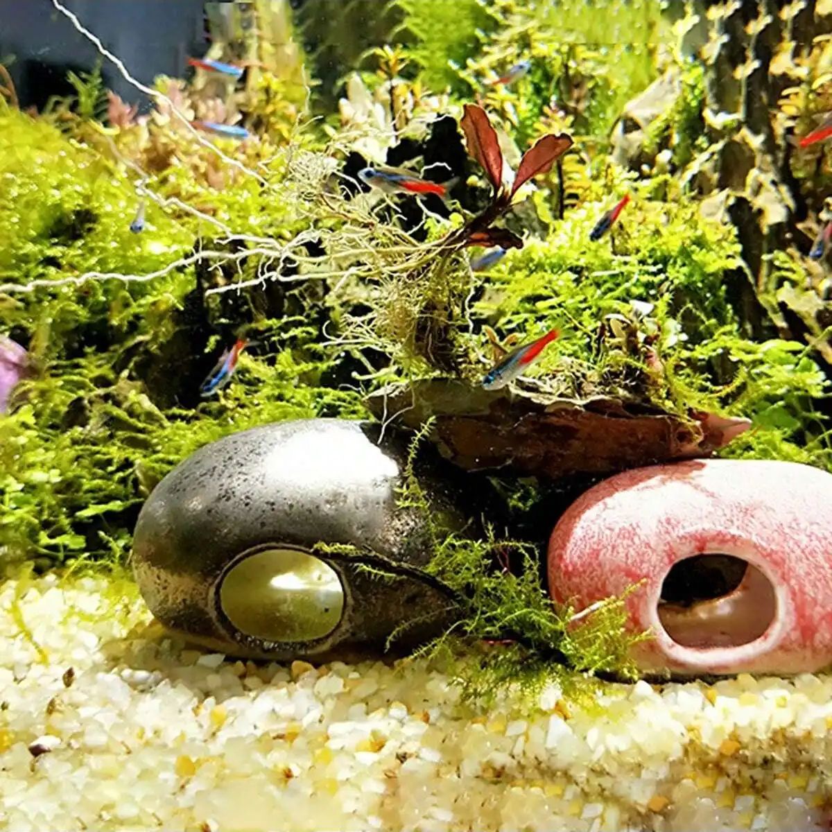 1szt-250g Naturalne kryształy  – Aquarium Planted Soil recenzja i cena