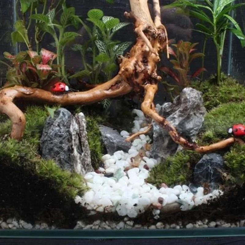 Naturalne drzewo pnia Driftwoo – Aquarium Planted Soil recenzja i cena