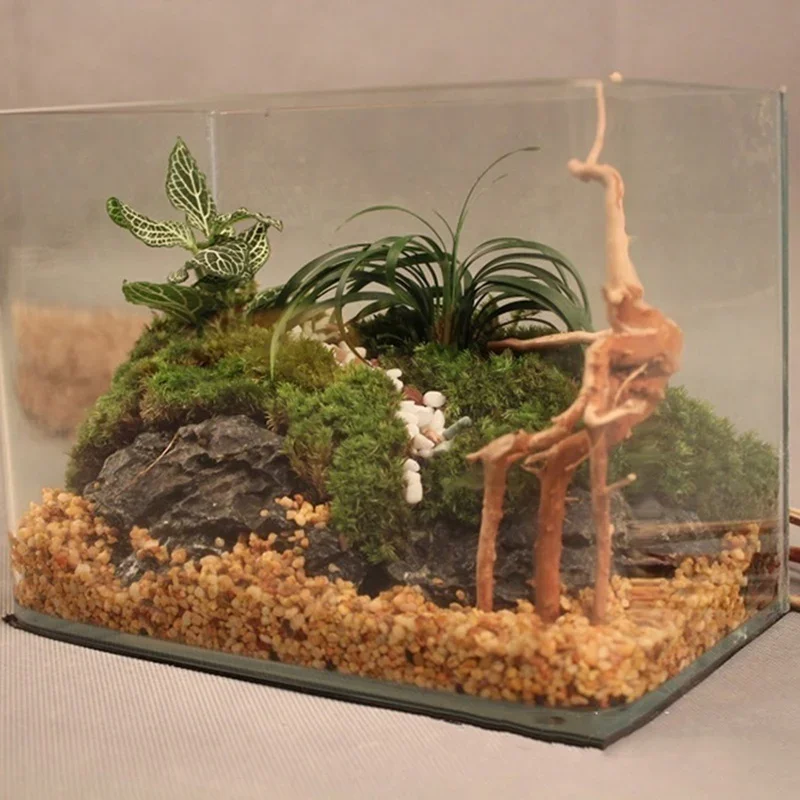 Naturalne drzewo pnia Driftwoo – Aquarium Planted Soil recenzja i cena