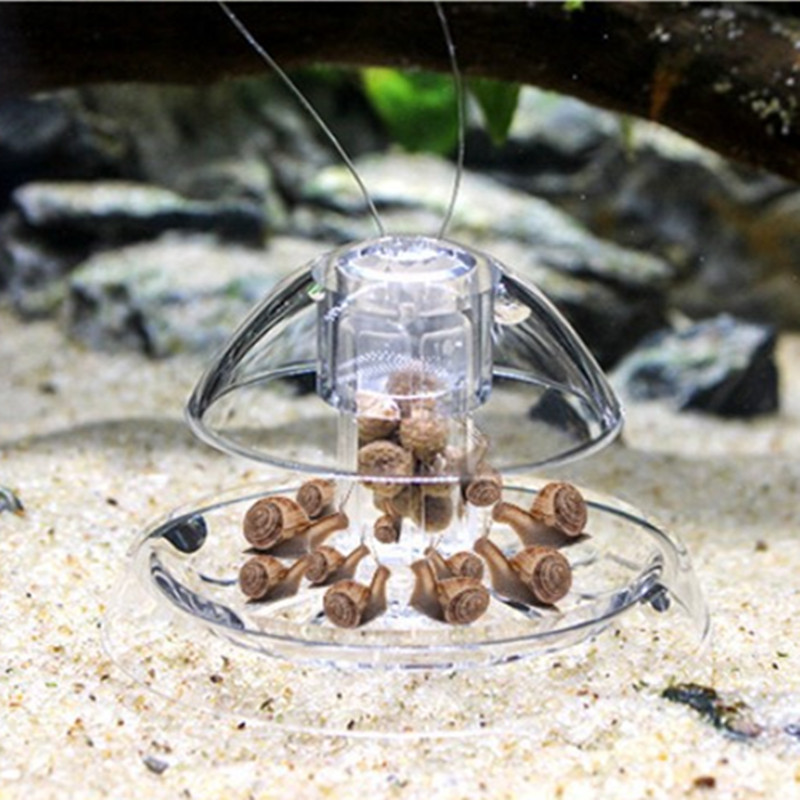 1PCS Fish Tank Aquarium Cleane – Planted Aquarium Products recenzja i cena