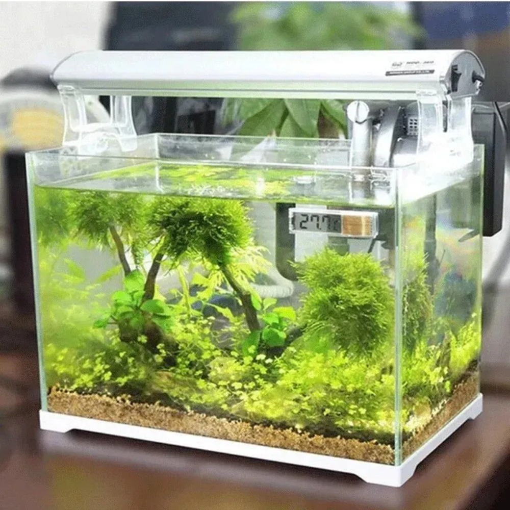 Termometr akwariowy elektronic – Planted Aquarium Temperature recenzja i cena