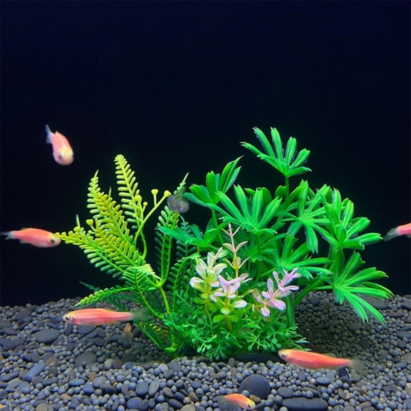 Sztuczna roślina dekoracyjna d – Planted Aquarium For Sale recenzja i cena