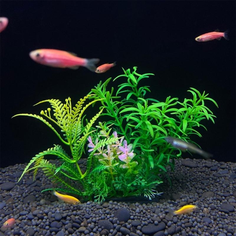 Sztuczna roślina dekoracyjna d – Planted Aquarium For Sale recenzja i cena