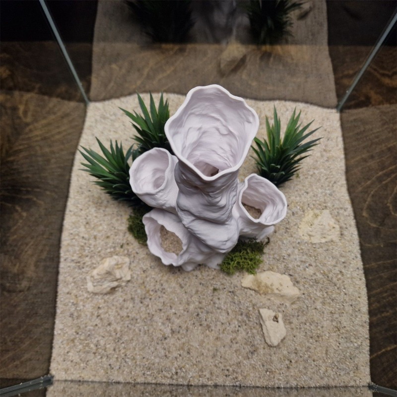 Gorąca Wyprzedaż Drukowany w 3 – Planted Aquarium For Sale recenzja i cena