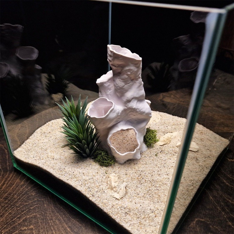 Gorąca Wyprzedaż Drukowany w 3 – Planted Aquarium For Sale recenzja i cena