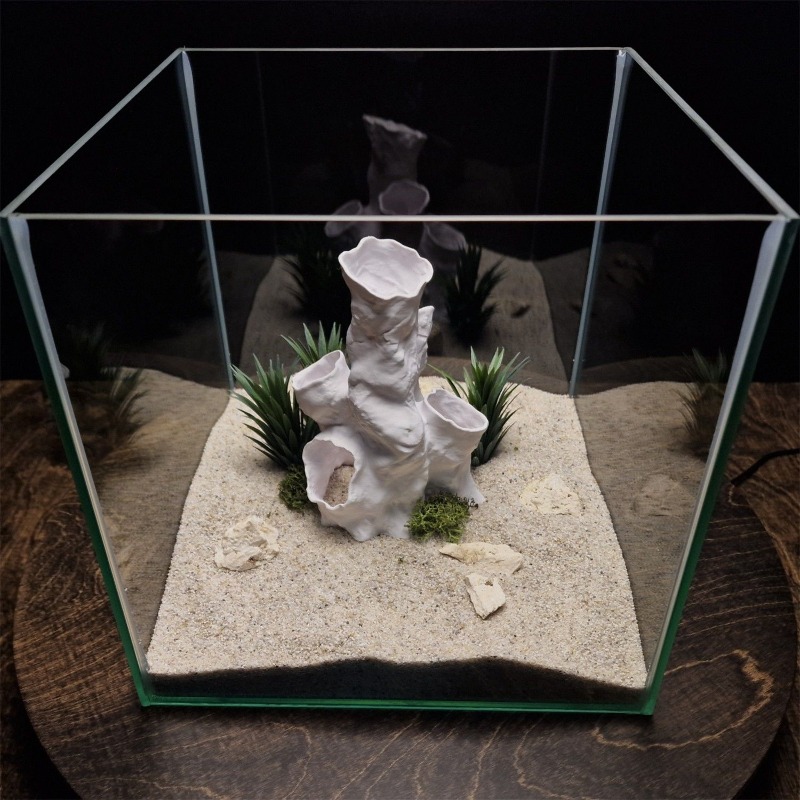 Gorąca Wyprzedaż Drukowany w 3 – Planted Aquarium For Sale recenzja i cena
