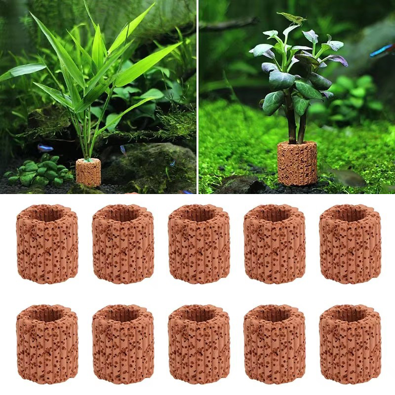 Stały pierścień do roślin wodn – Planted Aquarium Products recenzja i cena