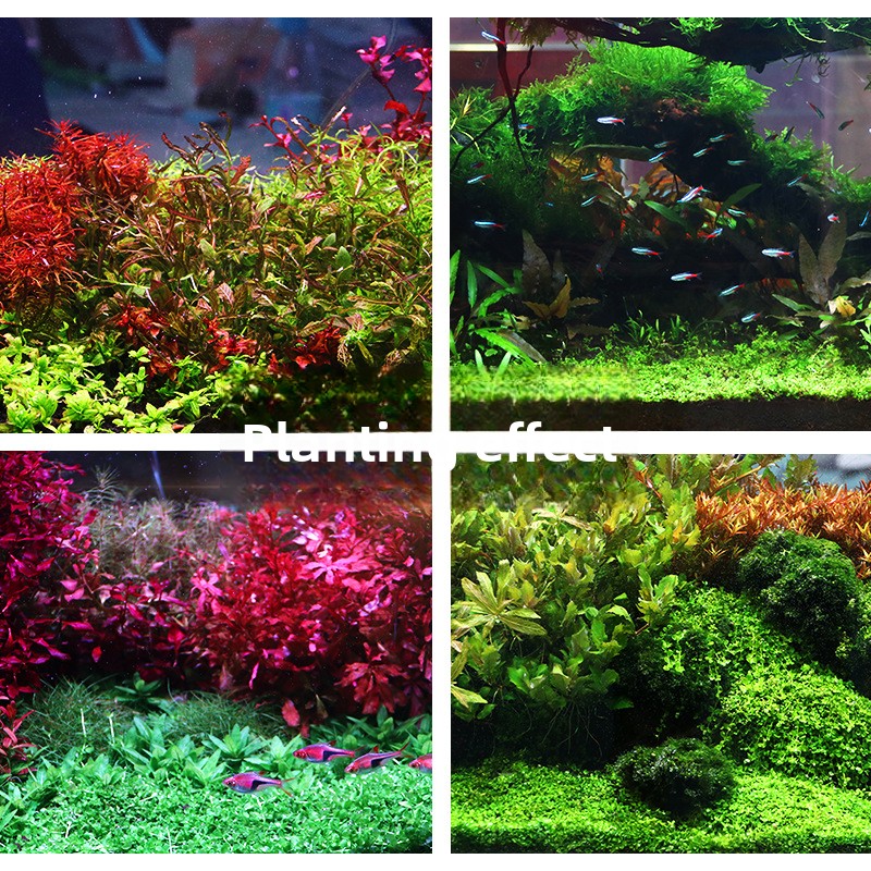 SYSENCIAGA Substrat do akwariu – Aquarium Planted Soil recenzja i cena