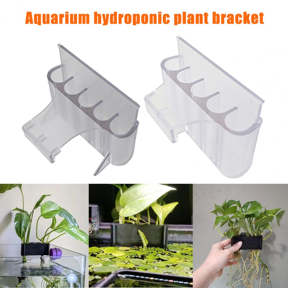 4.5/6.5cm akwarium uchwyt na r – Aquarium Plant Holder recenzja i cena