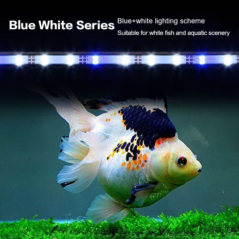 Lampa akwariowa LED z wtyczką  – Planted Aquarium Supplies recenzja i cena