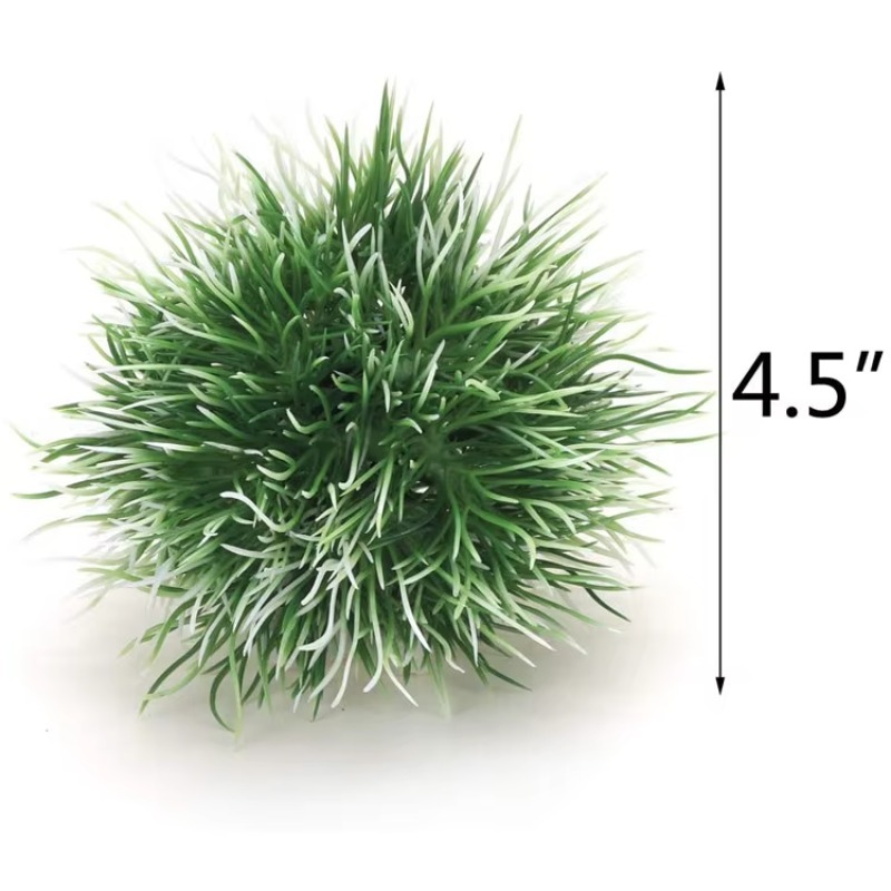 10 szt. Popularne, nowe plasti – Planted Aquarium For Sale recenzja i cena