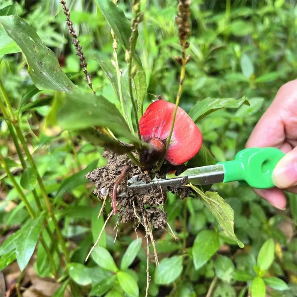 Pęseta ogrodnicza ze stali nie – Planted Clip Tweezers recenzja i cena