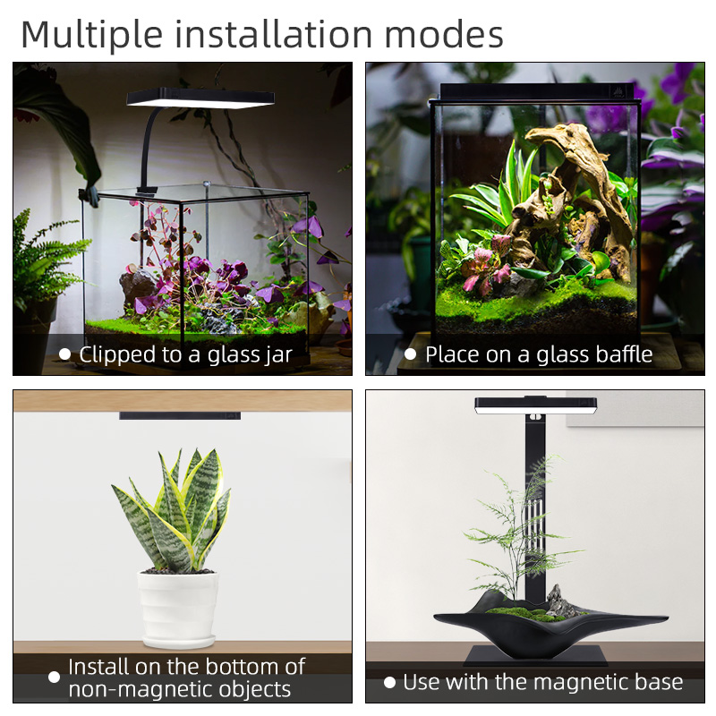Gorąca Wyprzedaż Mini9pro Nano – Planted Aquarium For Sale recenzja i cena