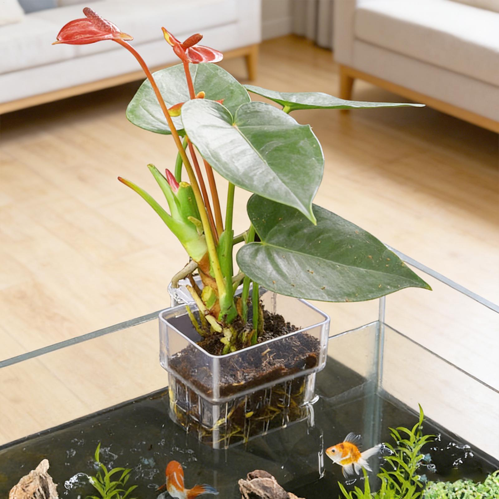 Kosz do akwarium, mocowany do  – Aquarium Plant Holder recenzja i cena