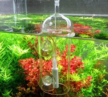 VIV Do urządzenie Cylinder akw – Planted Aquarium Supplies recenzja i cena