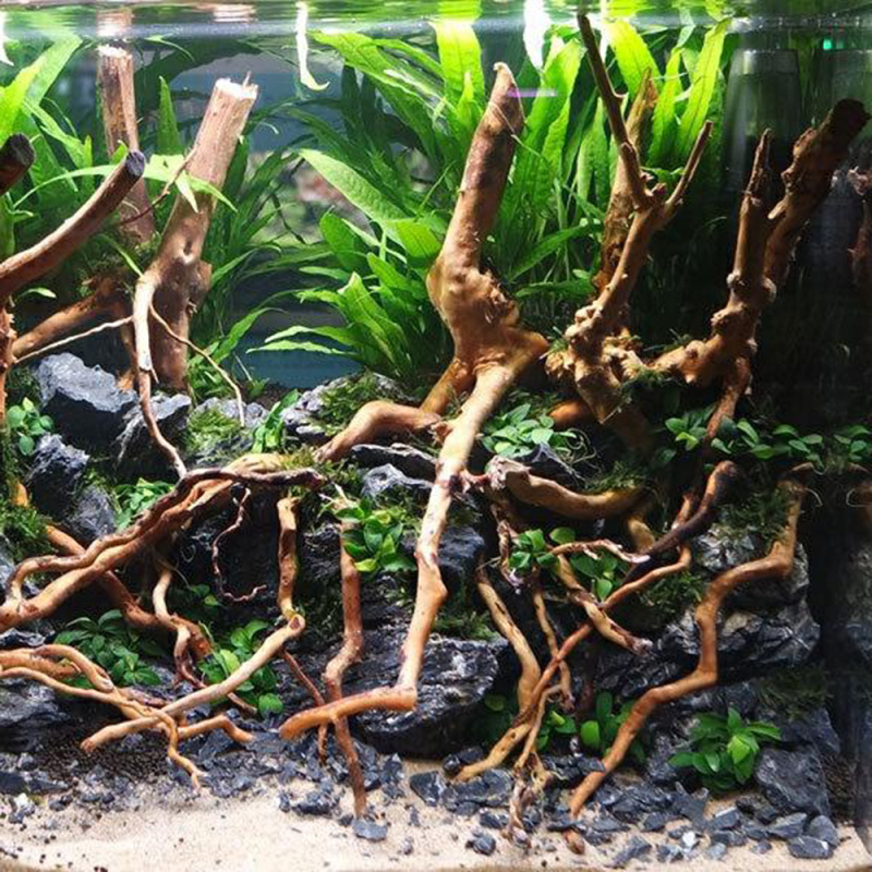 Akwarium Micro Landscape Natur – Aquarium Planted Soil recenzja i cena