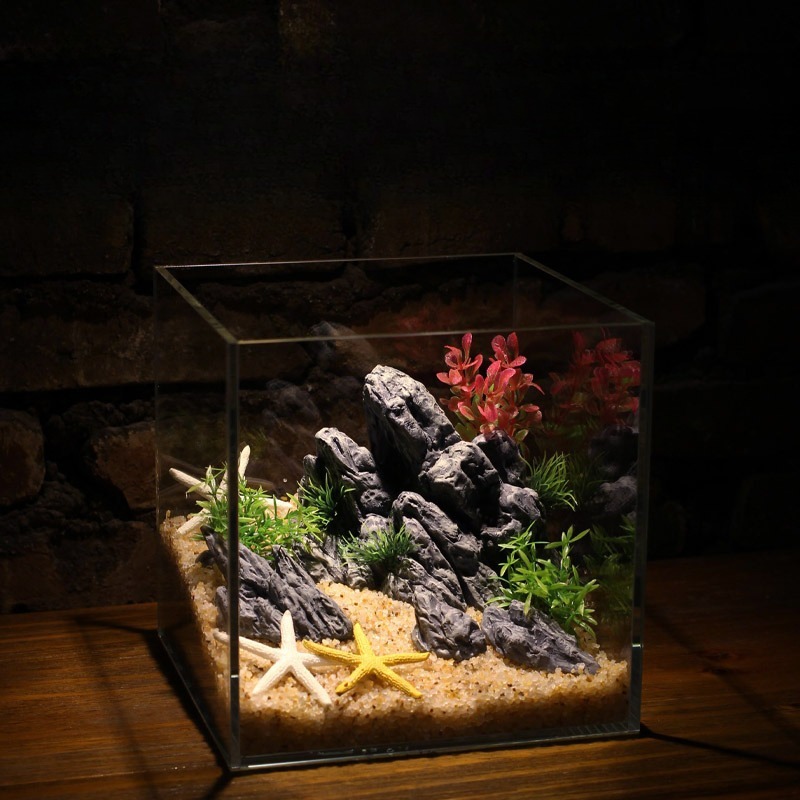 Dekoracja Akwarium Symulacja K – Aquarium Planted Tank Setup recenzja i cena