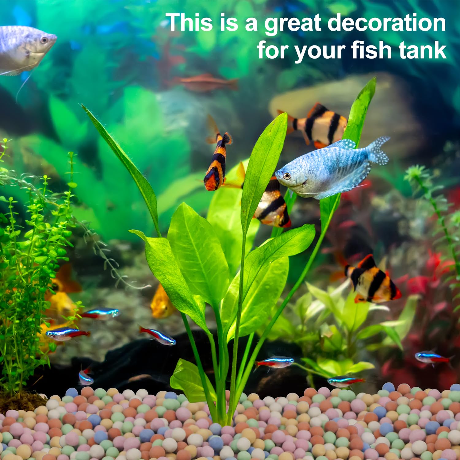 Roślina hydroponiczna Dekoracy – Aquasoil Substrate recenzja i cena