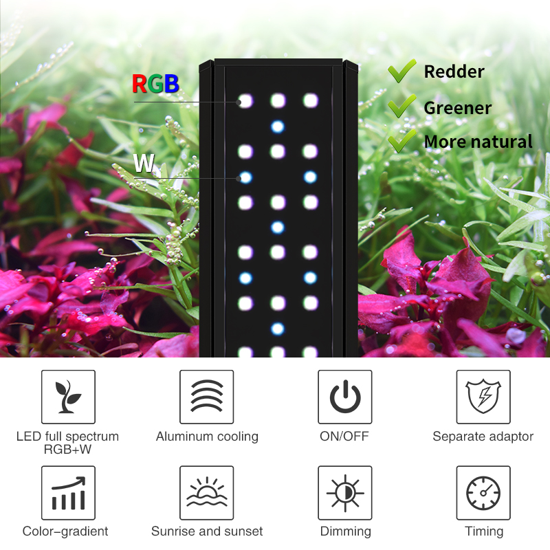 ZXY Gorąca Wyprzedaż WEEKAQUA  – Planted Aquarium For Sale recenzja i cena