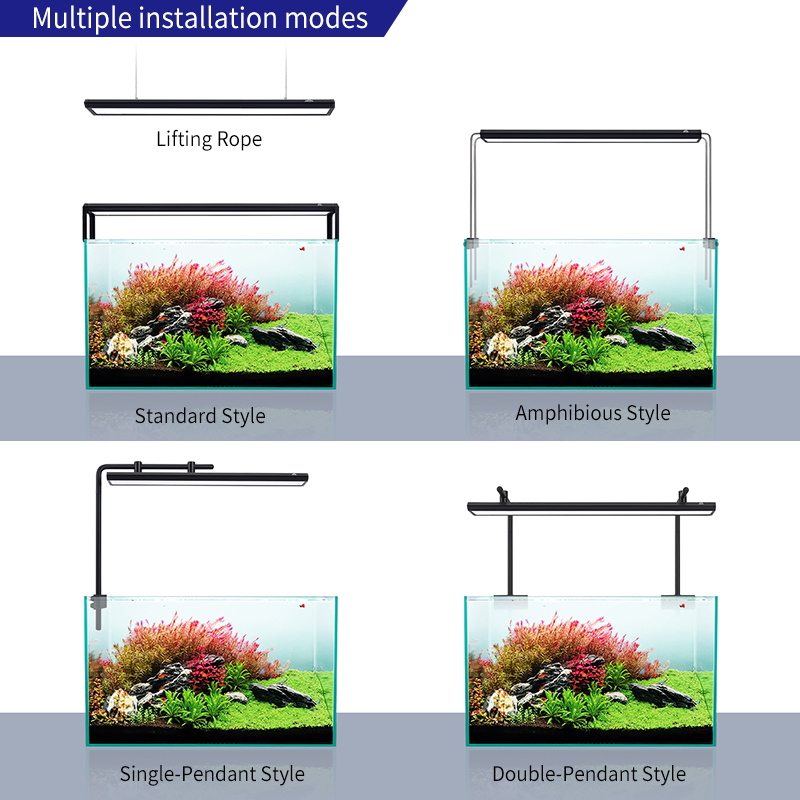 ZXY Gorąca Wyprzedaż WEEKAQUA  – Planted Aquarium For Sale recenzja i cena