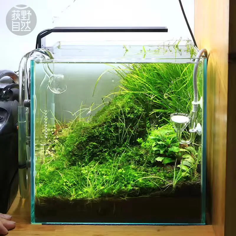 Chihiros C Series ADA Style Pl – Planted Aquarium Products recenzja i cena