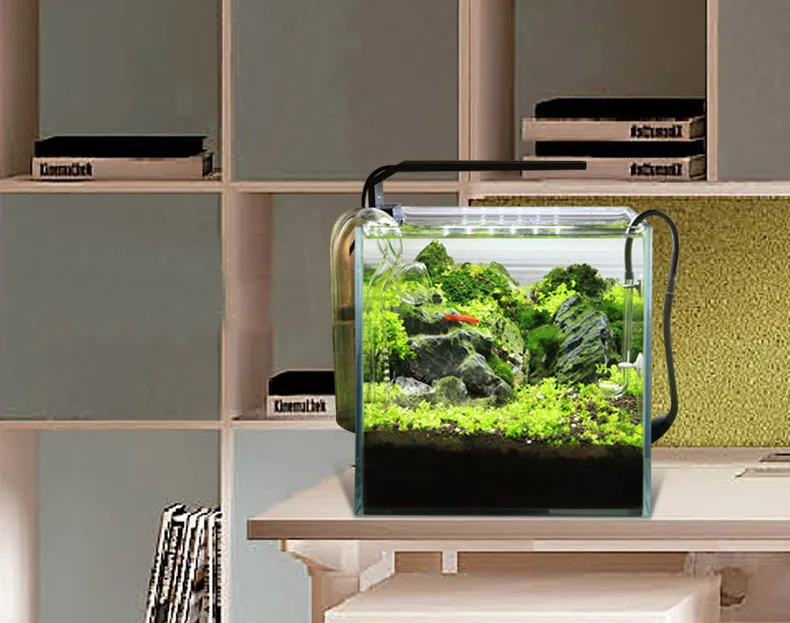 Chihiros C Series ADA Style Pl – Planted Aquarium Products recenzja i cena
