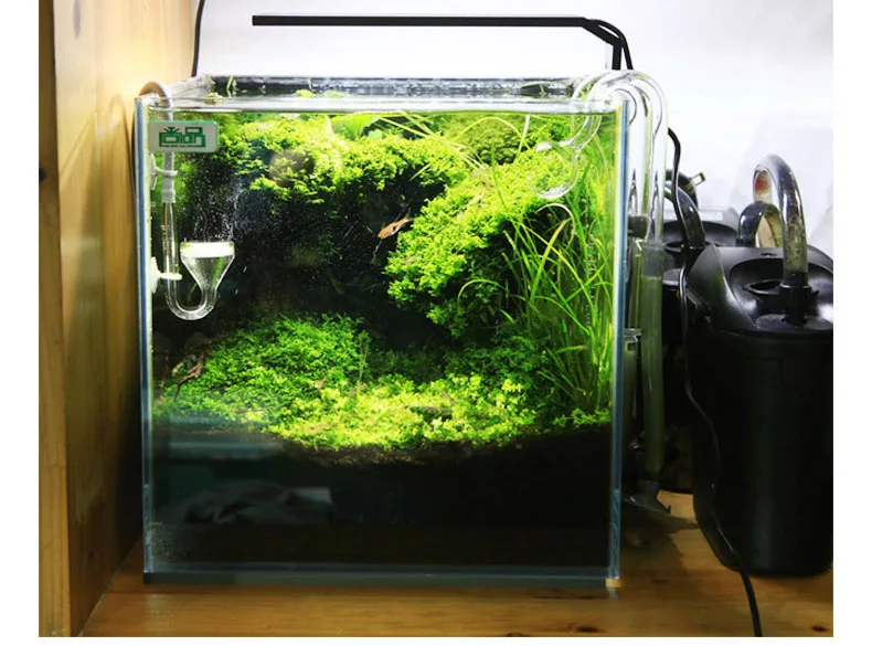 Chihiros C Series ADA Style Pl – Planted Aquarium Products recenzja i cena
