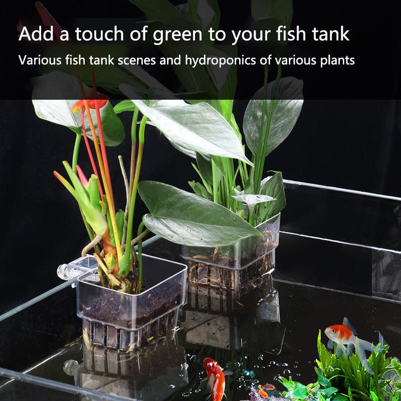 Kubek do hydroponicznego upraw – Aquarium Planted Tank Setup recenzja i cena