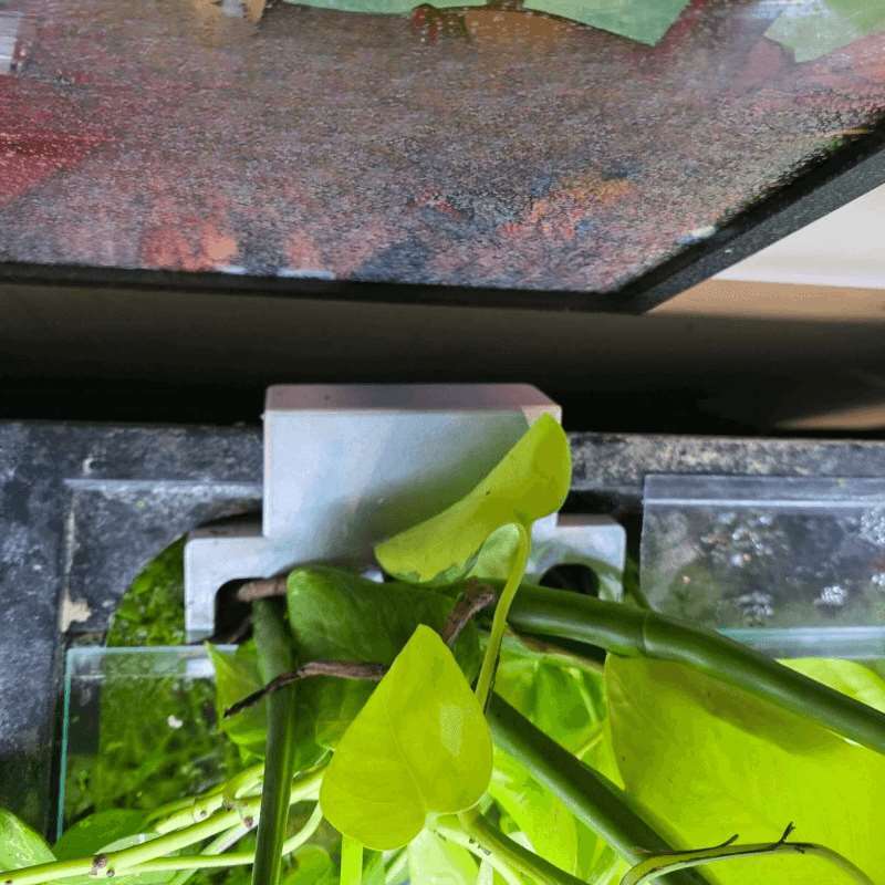 Uchwyt do mocowania roślin na  – Aquarium Planted Soil recenzja i cena