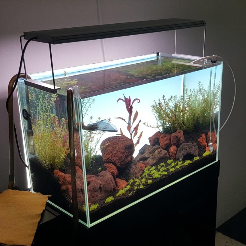 Najlepiej sprzedająca się lamp – Planted Aquarium Best Fish recenzja i cena