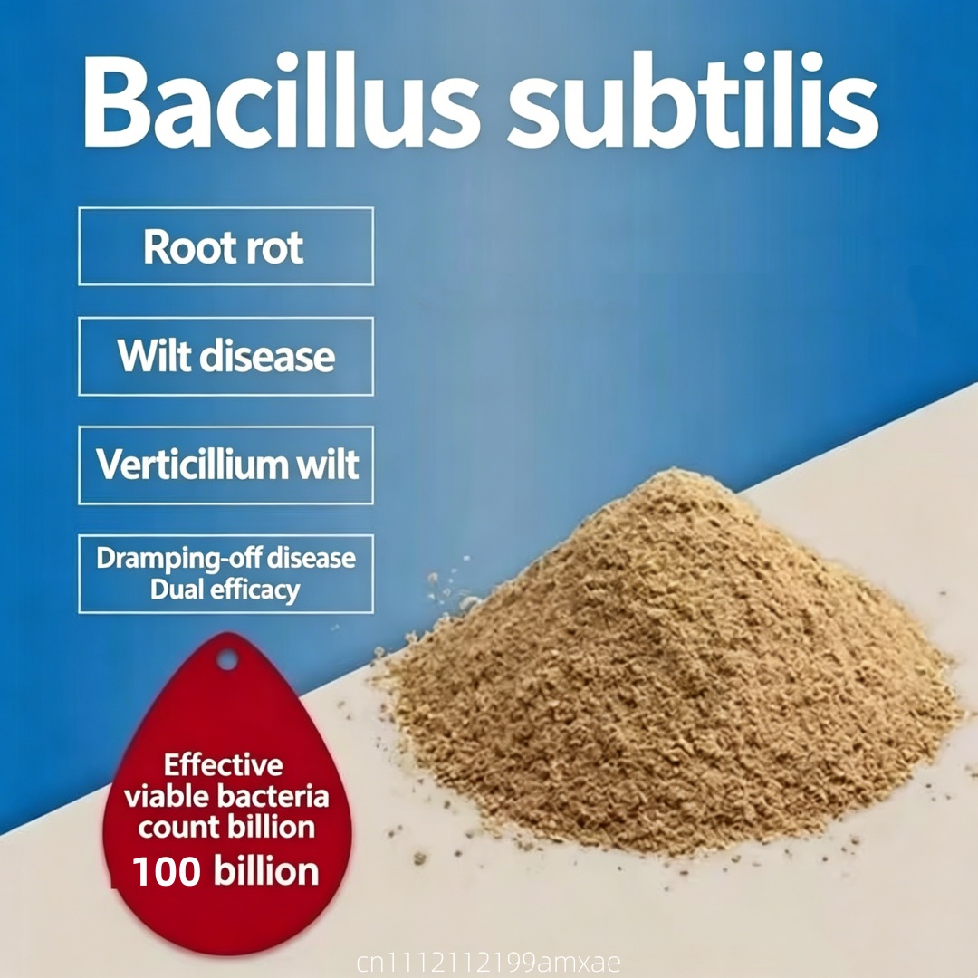 Wysokoaktywny proszek Bacillus – Aquarium Planted Soil recenzja i cena