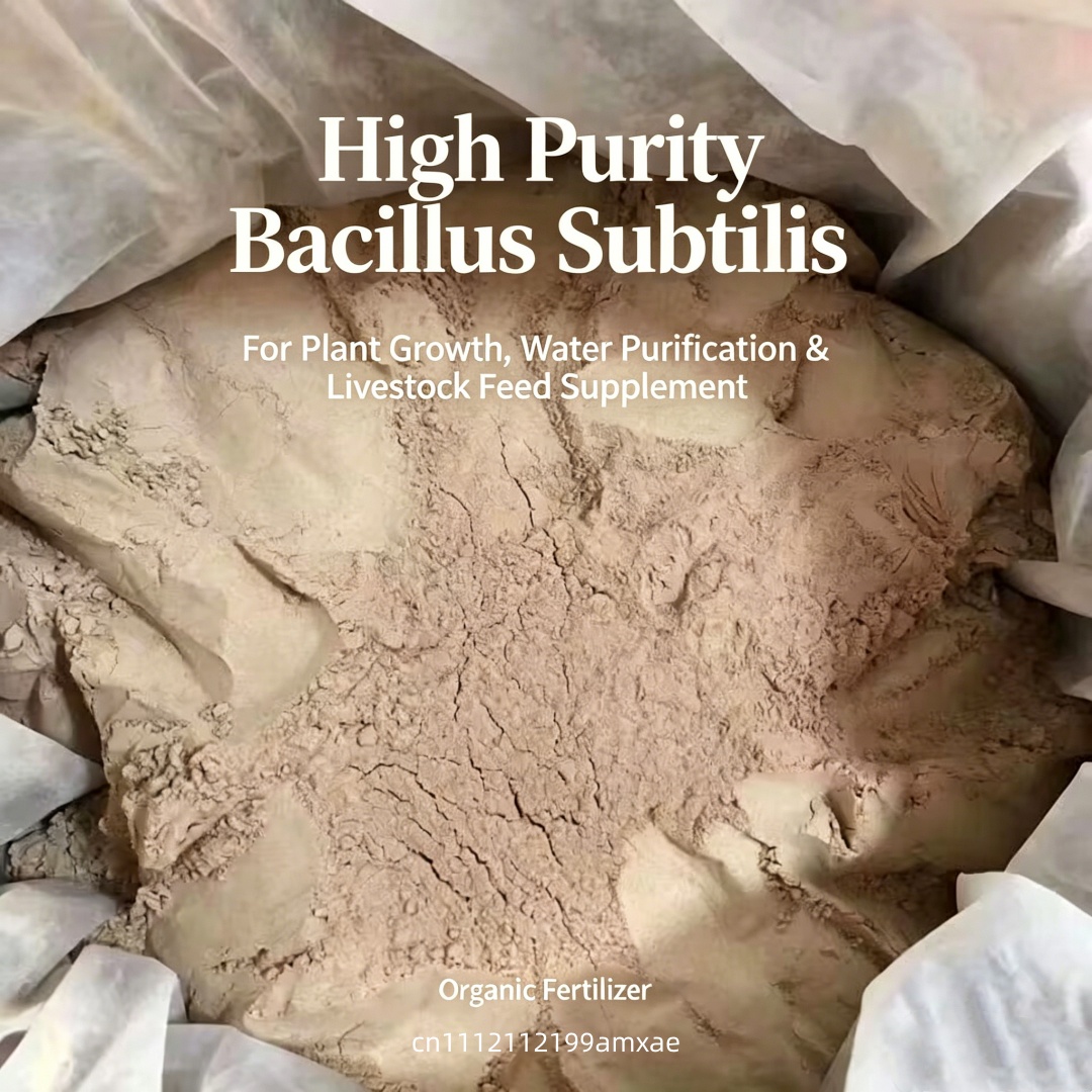 Wysokoaktywny proszek Bacillus – Aquarium Planted Soil recenzja i cena
