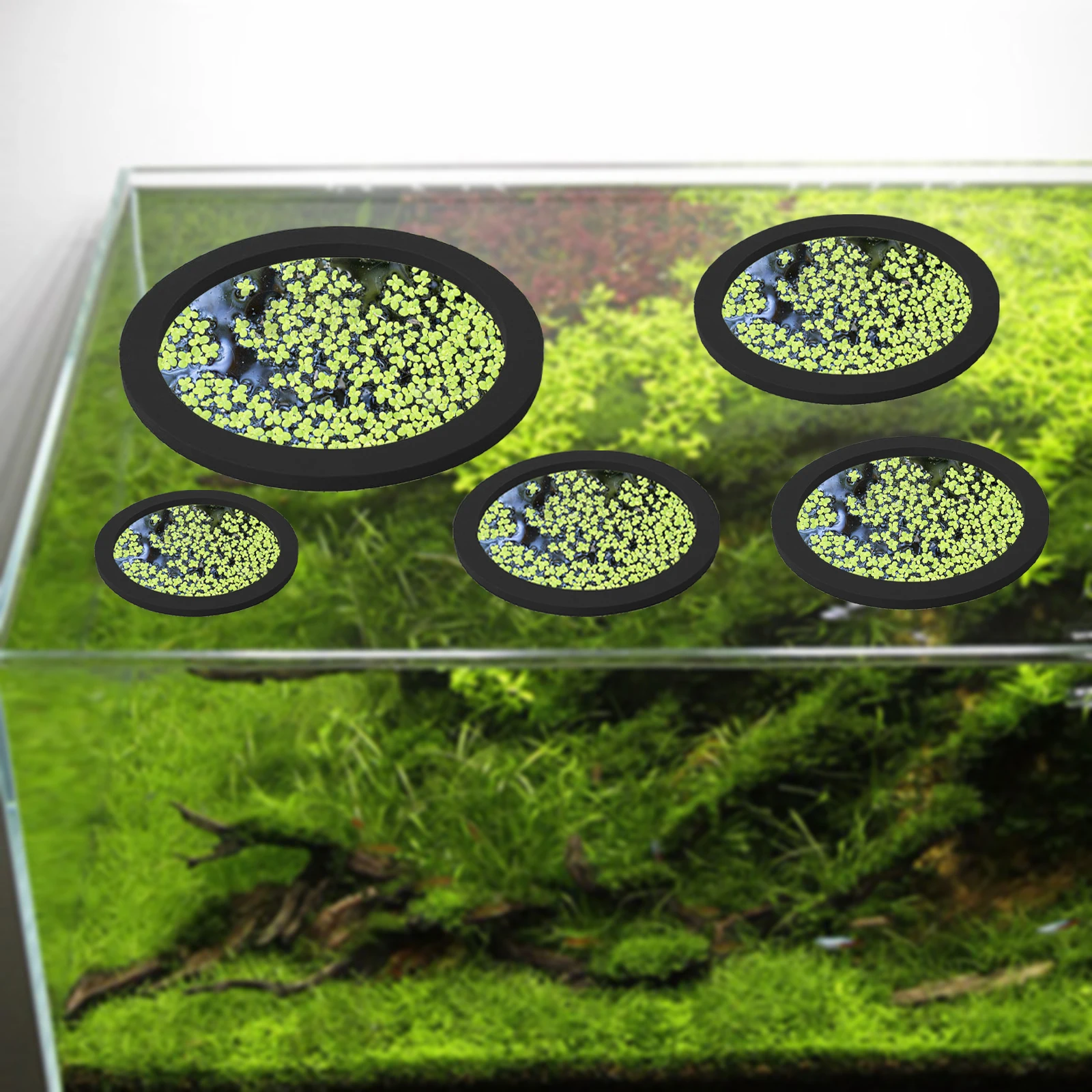 5Pcs EVA Pierścień do karmieni – Planted Aquarium Supplies recenzja i cena