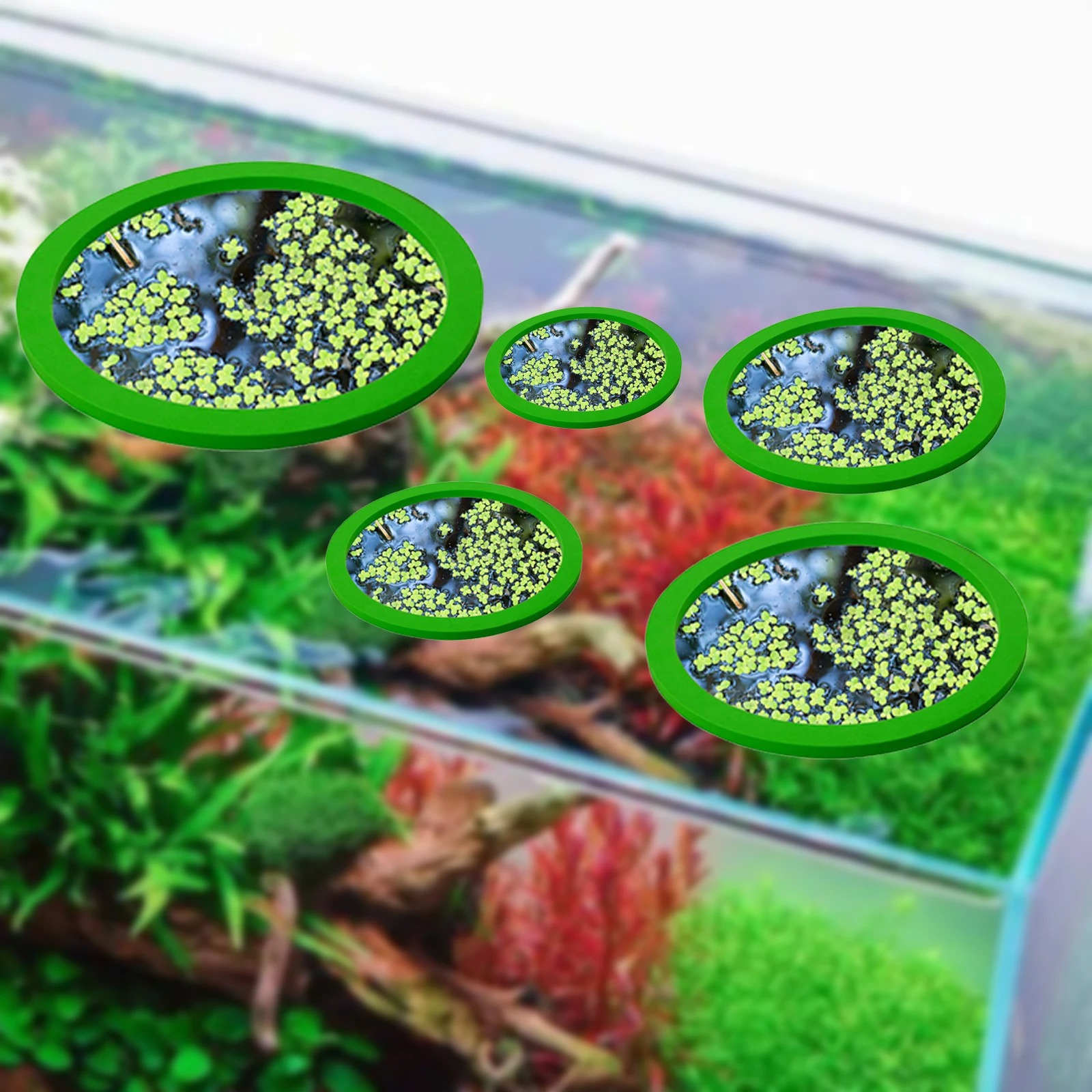5Pcs EVA Pierścień do karmieni – Planted Aquarium Supplies recenzja i cena