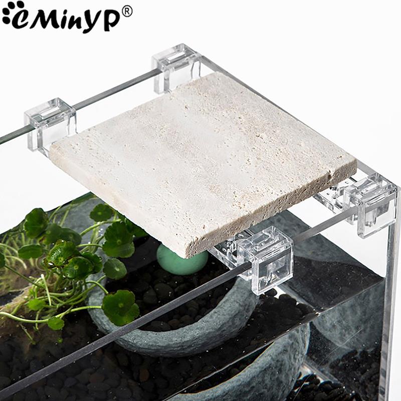 4 szt. akrylowe klipsy do akwa – Aquarium Plant Holder recenzja i cena