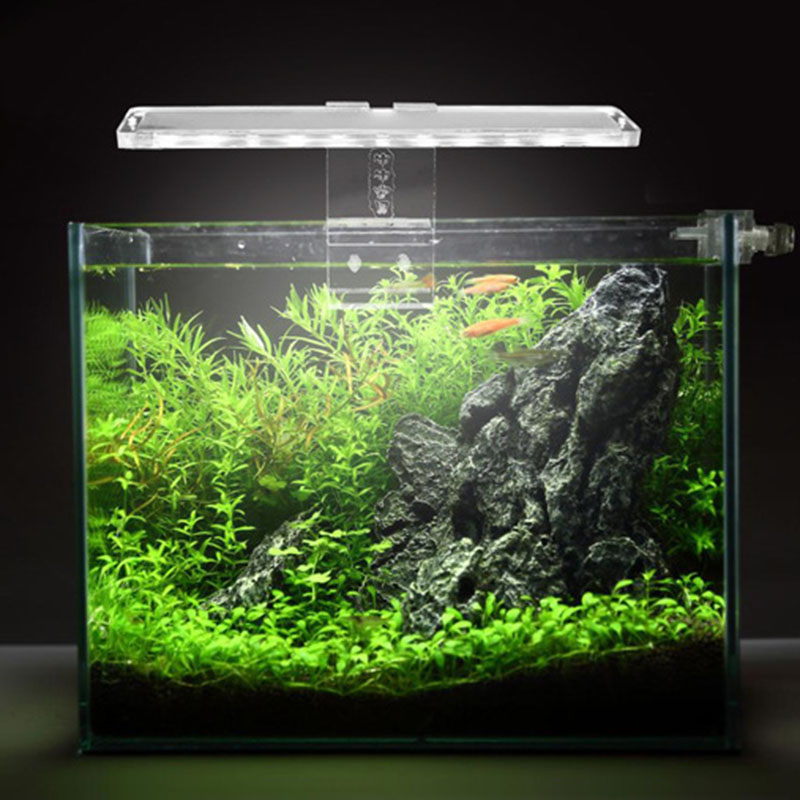 Lampa LED do akwarium świecąca – Planted Aquarium Best Fish recenzja i cena