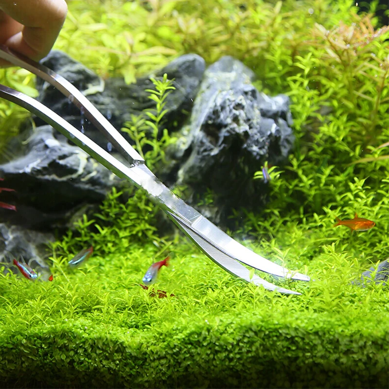 Nożyce do akwarium Pęseta do a – Aquarium Plant Holder recenzja i cena