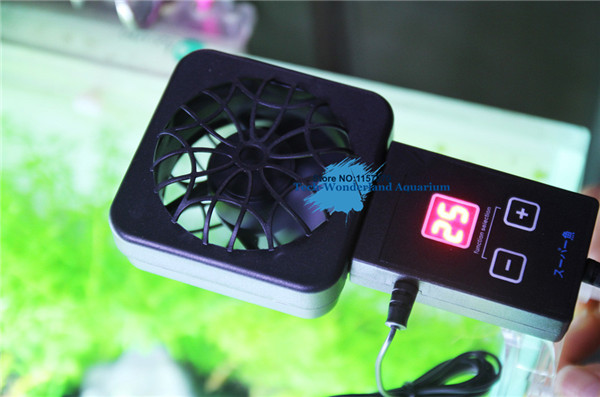 Mini nano clip powiesić na czu – Planted Aquarium Temperature recenzja i cena