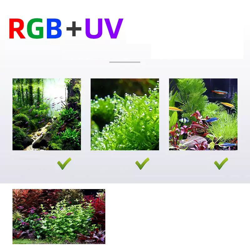 Oświetlenie LED 60cm 80cm 90cm – Planted Aquarium For Sale recenzja i cena