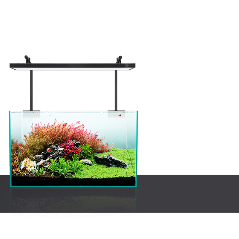 Oświetlenie LED 60cm 80cm 90cm – Planted Aquarium For Sale recenzja i cena