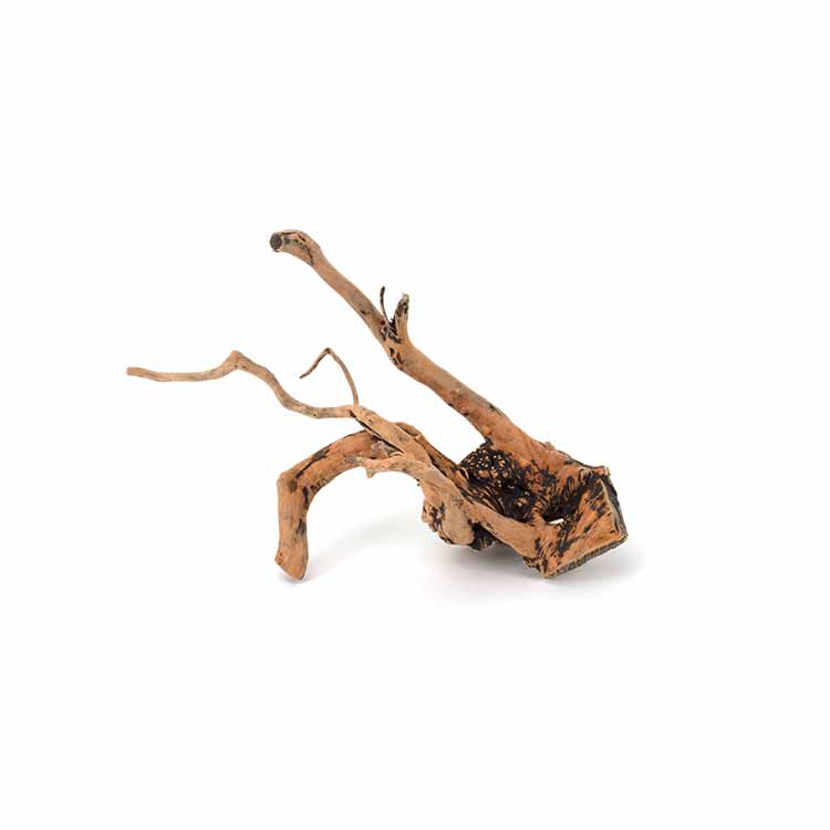 Hurtowa Sprzedaż Naturalnych D – Planted Aquarium For Sale recenzja i cena