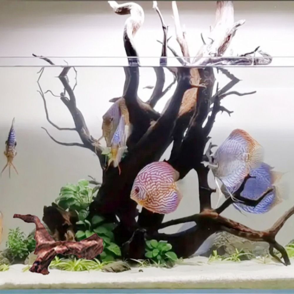 Kreatywne, nieregularne kształ – Aquarium Planted Soil recenzja i cena
