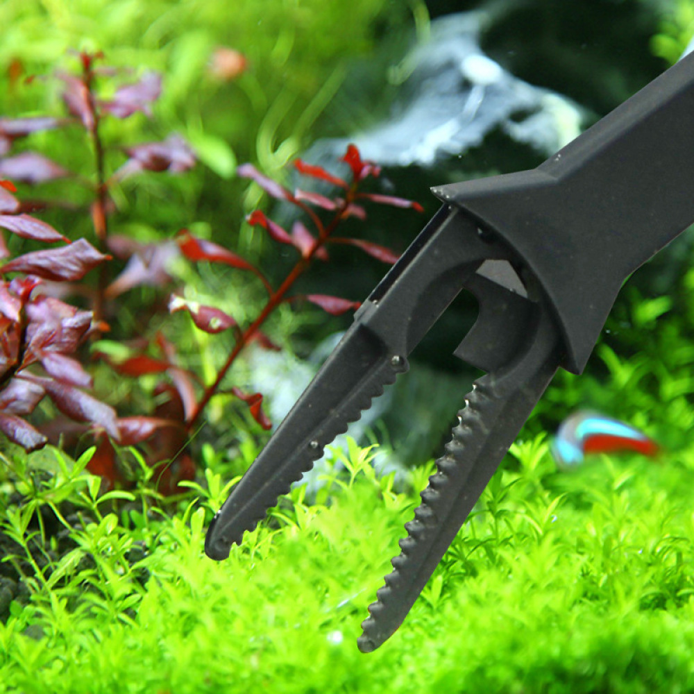 Pęseta do roślin wodnych w akw – Planted Clip Tweezers recenzja i cena