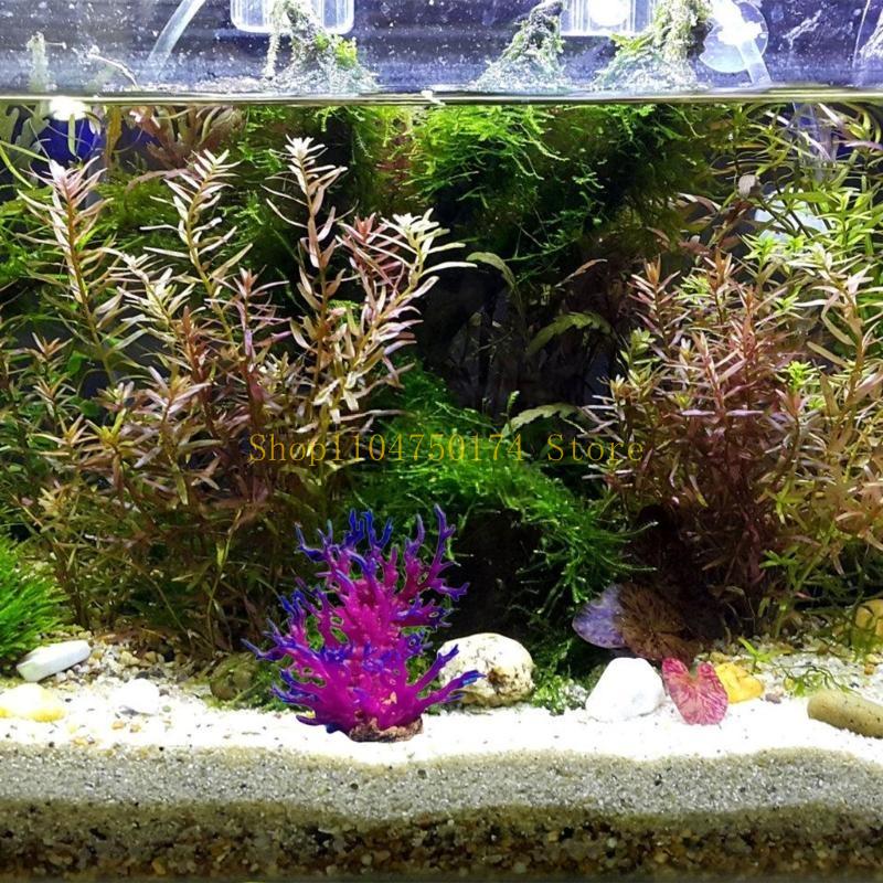 Sztuczne drzewo Roślina dekora – Planted Aquarium For Sale recenzja i cena