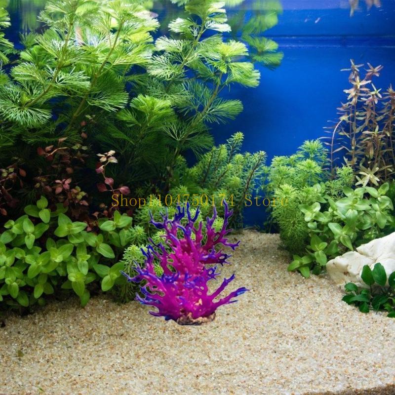 Sztuczne drzewo Roślina dekora – Planted Aquarium For Sale recenzja i cena